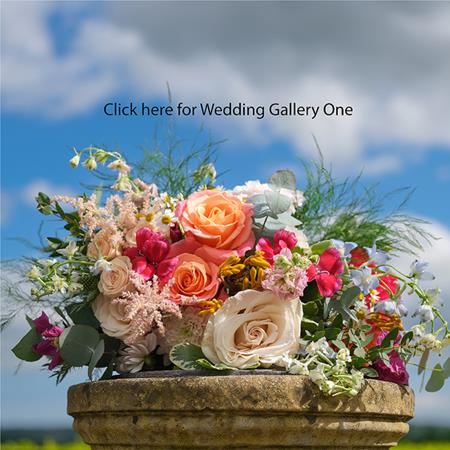 Wedding Gallery One