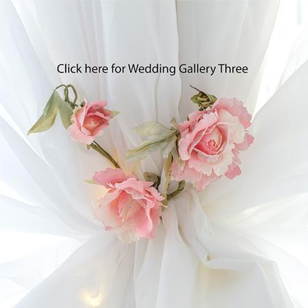 Wedding gallery Three